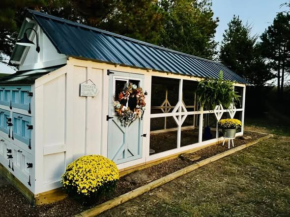 Chicken Coop