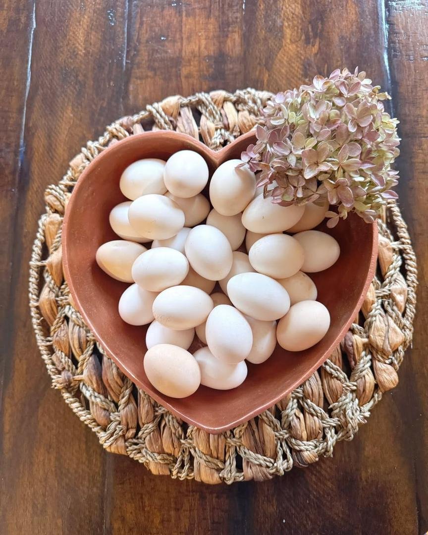 Fresh Silkie Eggs